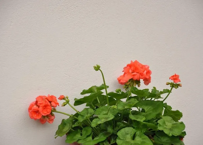 Villa Erietta & Ariana Near Lefkas Center *